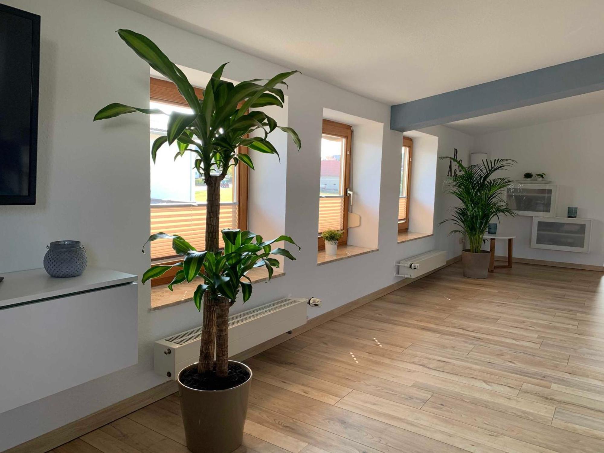 Ferienwohnung In Den Wiesen Albertshausen Exterior photo